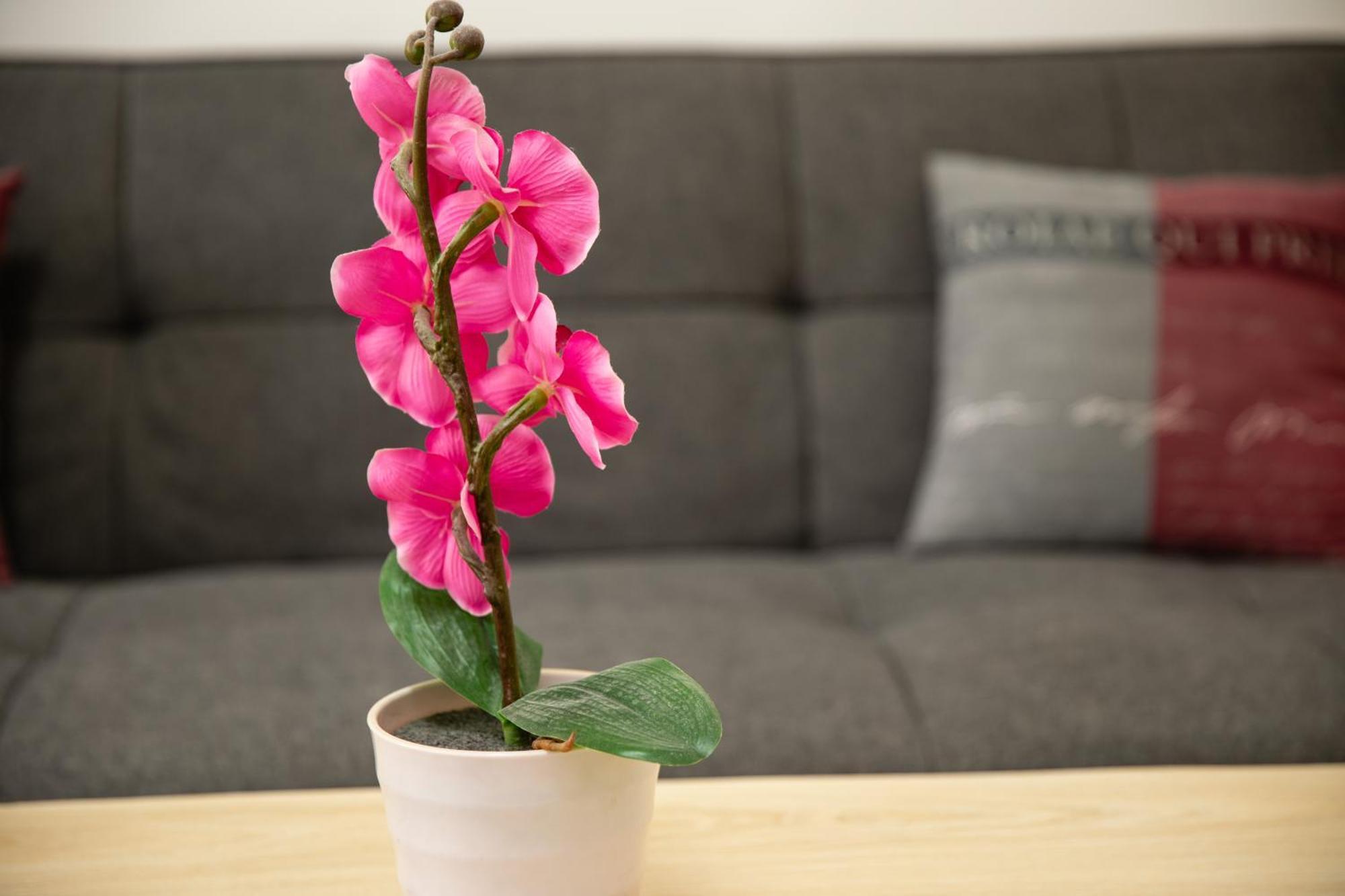 Apartment Rueppgasse Leopoldstadt Wien Ngoại thất bức ảnh